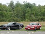 Click for larger image.